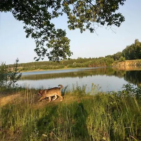 Animal Farm - Agroturystyka Konik Polski