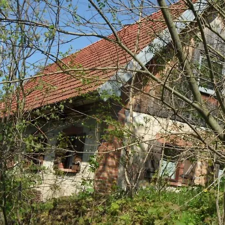 Animal Farm - Agroturystyka Konik Polski * Przecznica